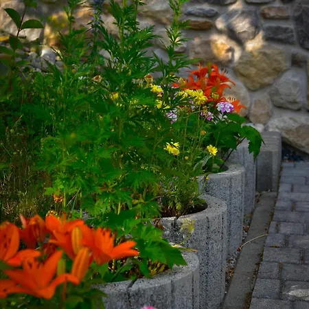 Apartment Vila Lokve Lägenhet