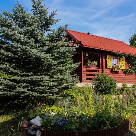 Apartment Vila Lokve *